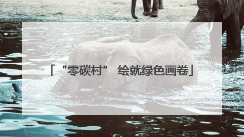 “零碳村” 绘就绿色画卷